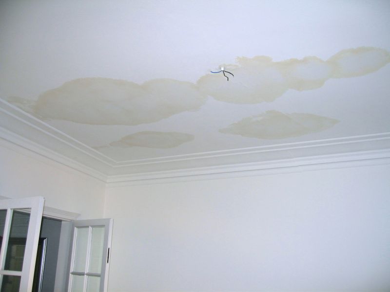 Ceiling Condensation Repair