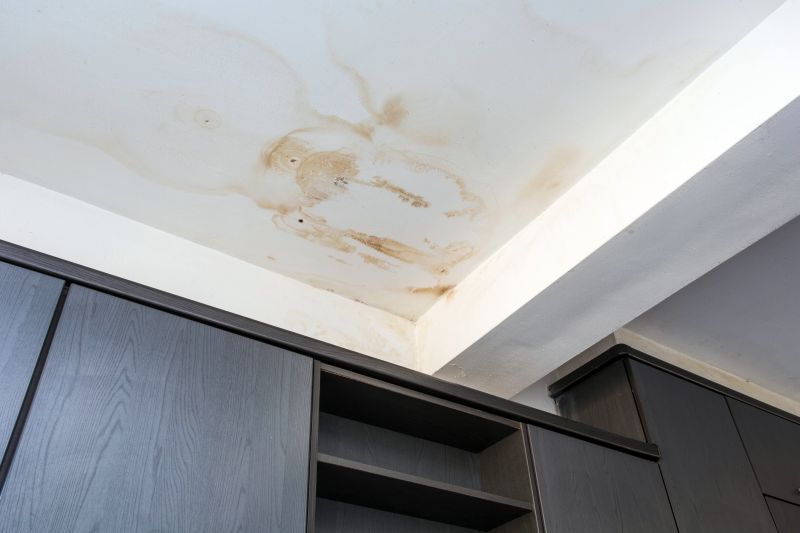 Ceiling Condensation Repair