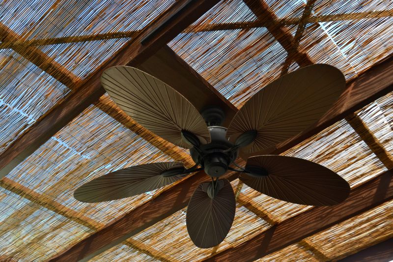 Ceiling Fan Replacement in Olathe, KS