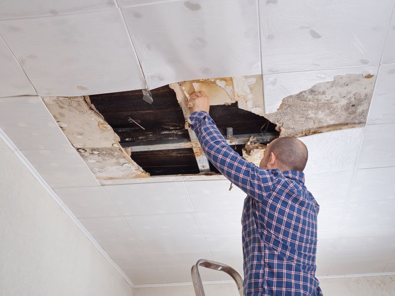 Local Ceiling Condensation Repair pros at work