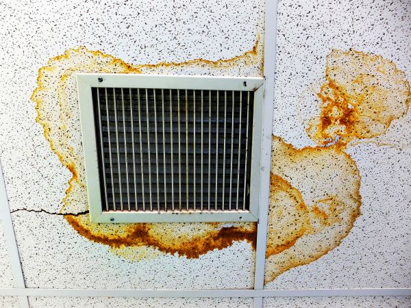 Moisture Damage Ceiling Repair